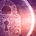 Приглашаем на курсы по информационной безопасности!
